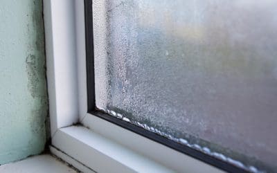 How to Prevent Mold Growth: 5 Tips for a Mold-Free Home