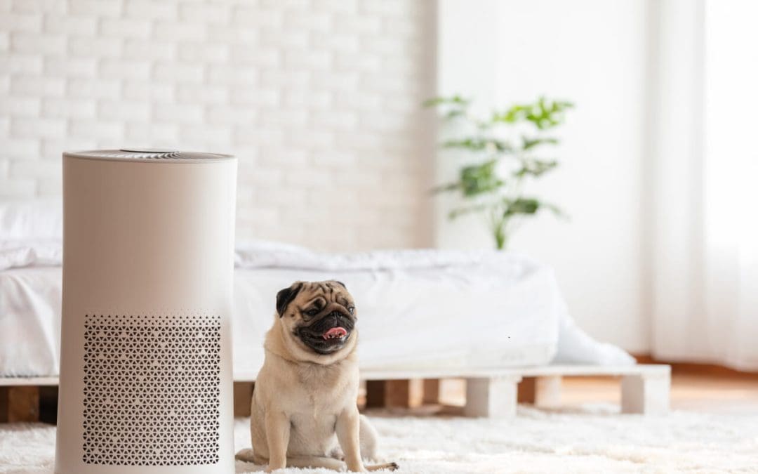 improve indoor air quality